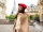 Beautiful young woman visiting paris and the eiffel tower. Parisian girl with red hat and fashionable clothes having fun in the city center and landmarks area